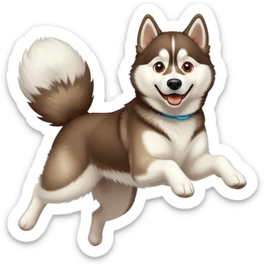 husky dog jumping in the air sticker