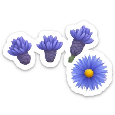 Dried lavender and cornflower flowers sticker