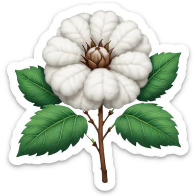 Cotton plant sticker
