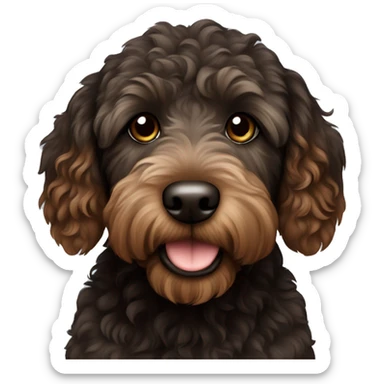 Black and brown mini labradoodle  sticker