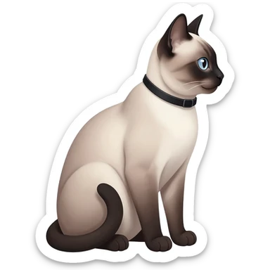 Siamese cat sits and looks to the right sticker