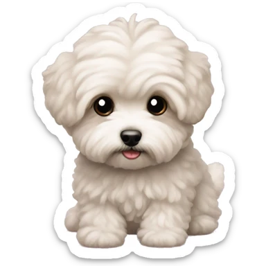 Maltipoo sticker