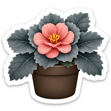 super realistic grey begonia sticker