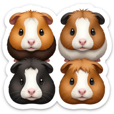 6 guinea pigs 2 black 1 creme 1 black and brown 1 white 1 white back and brown sticker