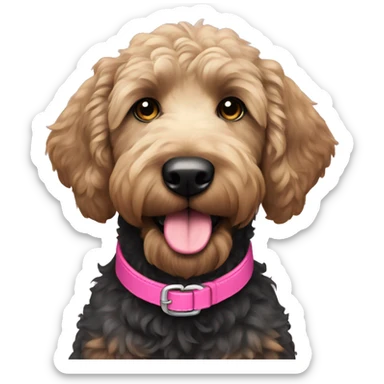 Black golden doodle with pink collar  sticker