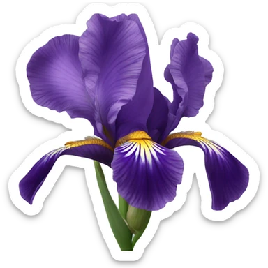 Iris flower sticker