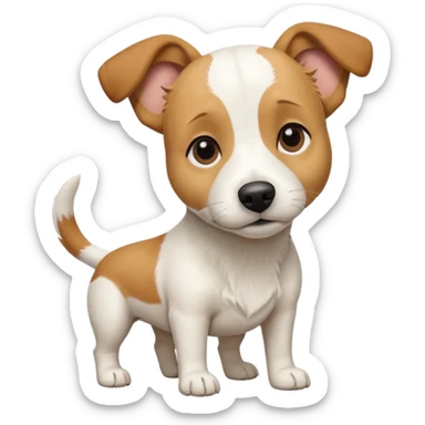a full body facing front on of a buff white beagle cross jack russell terrier looking dog the size of a kelpie with light brown long ears resting on its face and a light brown patch above one eye and a large snout. the rest of the dog is completely white.  sticker