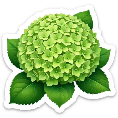 Green hydrangeas sticker