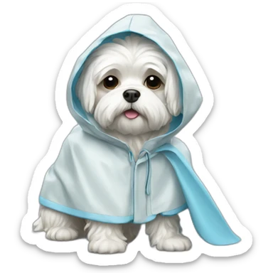 Maltese dog in raincoat sticker