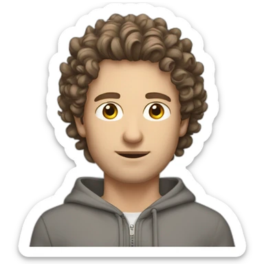 Caucasian man grey zipped hoodie brown hair bit curly brown eyes sticker