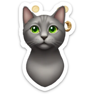 Grey cat with green eyes with a Guinness  sticker