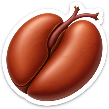 kidney sticker