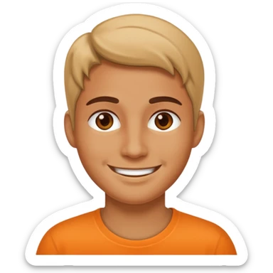 no to trouble sticker