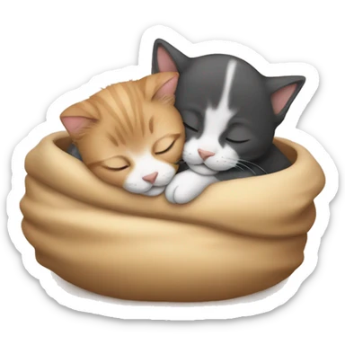 Kitten sleeping with puppy sticker