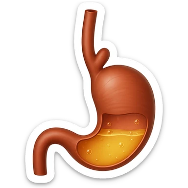 Create an emoji of esophagus and stomach similar to the reference image, in Apple emoji style with transparent background. sticker