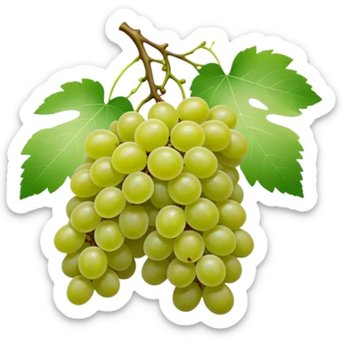 matcha colored grapes with matcha pastel colored leaves sticker