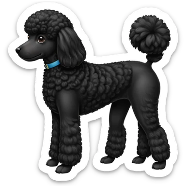 A high-resolution digital illustration of a black poodle in a clean, semi-realistic style. The poodle is shown facing sideways head tilted  sticker