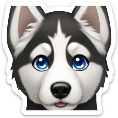 Short haired black and white Siberian husky with blue eyes sticker