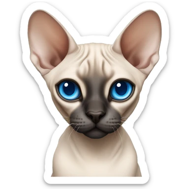 Siamese Sphynx  cat with blue eyes, full body, black nose ears and tail sticker