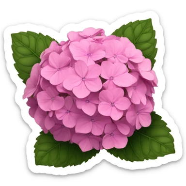 Pink hydrangeas  sticker
