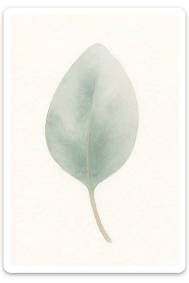 a single eucalyptus leaf, watercolor style sticker