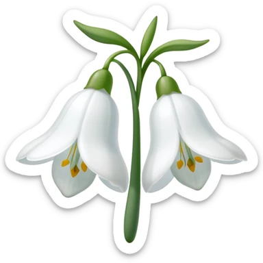snowdrop flower sticker