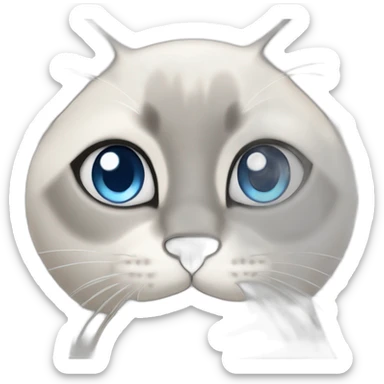 white and grey siamese cat with blue eyes sticker