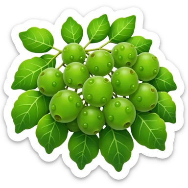 sea grape which is green looking like a grape. but way more tiny ones sticker