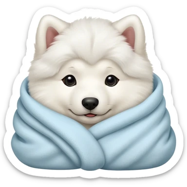 Samoyed puppy cozy in blanket sticker