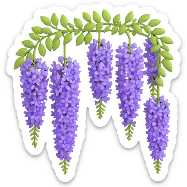 Detailed wisteria blossom with hanging clusters of lavender flowers in pendulous racemes and delicate green foliage sticker