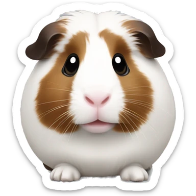 Guineapig white and dark brown sticker