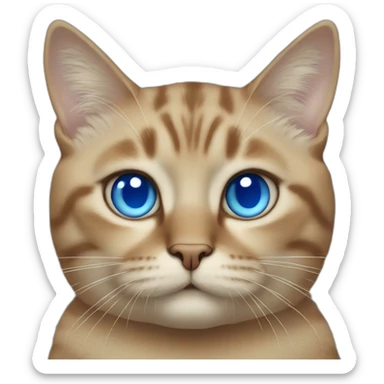 Cat fat with blue eyes sticker