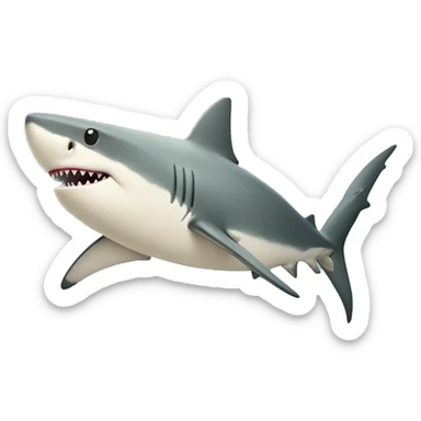 A postcard with shark in i sticker