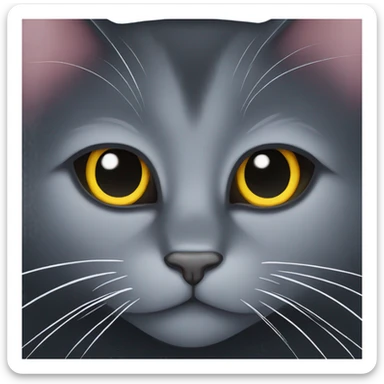 black cat with stars in eyes  sticker