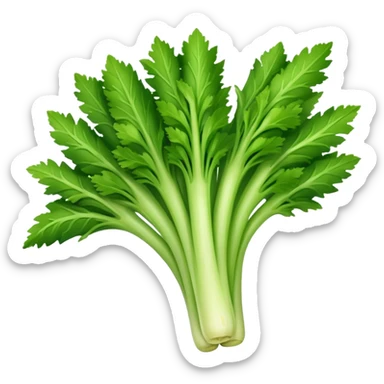 fresh green celery sticker