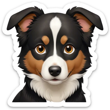 All black short haired border collie mix sticker