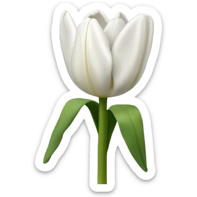  White tulipans  sticker