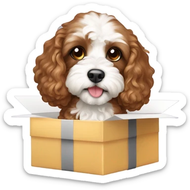 Brown and white cavapoo and gift box sticker