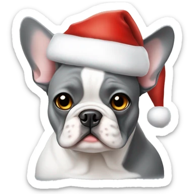 Grey and white pied French bulldog wearing Santa hat sticker