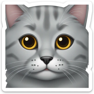 Gray Scotish fold cat sticker