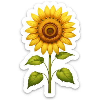 A tall summer sunflower glowing in warm golden light. sticker