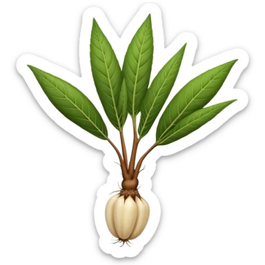 Cassava  sticker