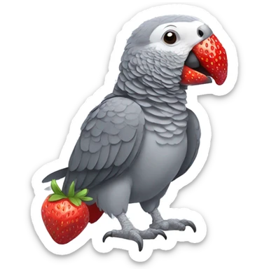 African grey parrot eating a red strawberry with its beak sticker
