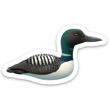 Loon sticker