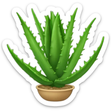 Une aloe vera sticker