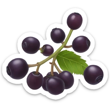 Elderberry sticker