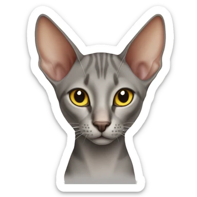 Oriental shorthair cat sticker