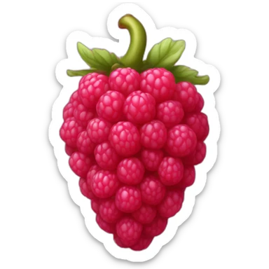 rasberry sticker