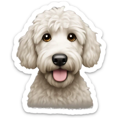 Black golden doodle with a white belly and dark eyes sticker