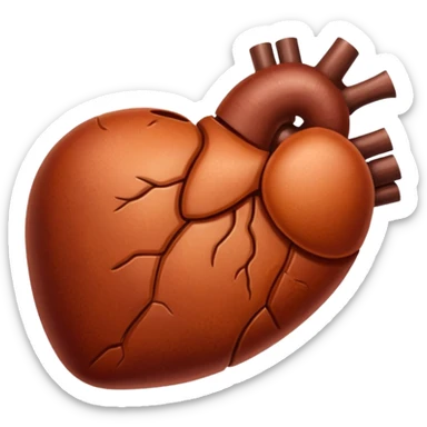 Create the liver sticker